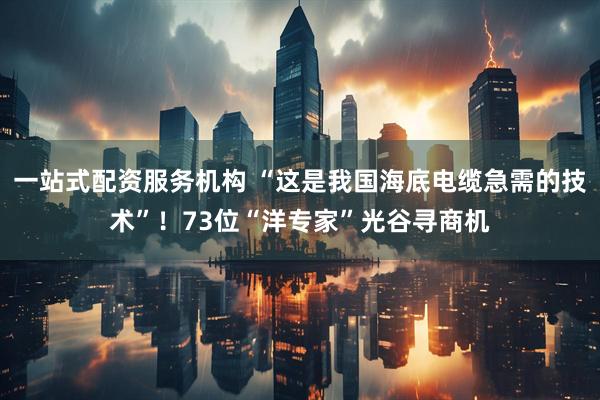 一站式配资服务机构 “这是我国海底电缆急需的技术”！73位“洋专家”光谷寻商机
