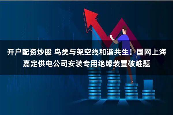开户配资炒股 鸟类与架空线和谐共生！国网上海嘉定供电公司安装专用绝缘装置破难题