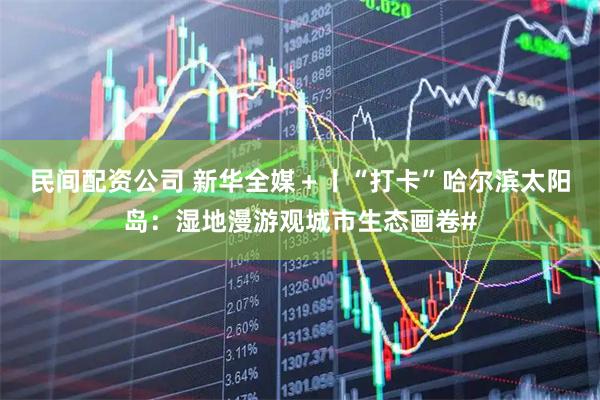 民间配资公司 新华全媒＋丨“打卡”哈尔滨太阳岛：湿地漫游观城市生态画卷#