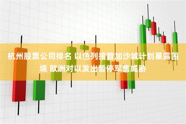 杭州股票公司排名 以色列接管加沙城计划暴露困境 欧洲对以发出暂停军售威胁